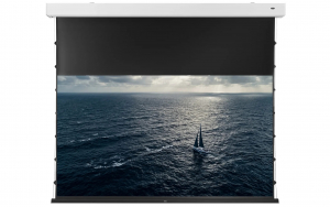 celexon ALR Premium Plus Leinwand Motor Tension - Darkvision