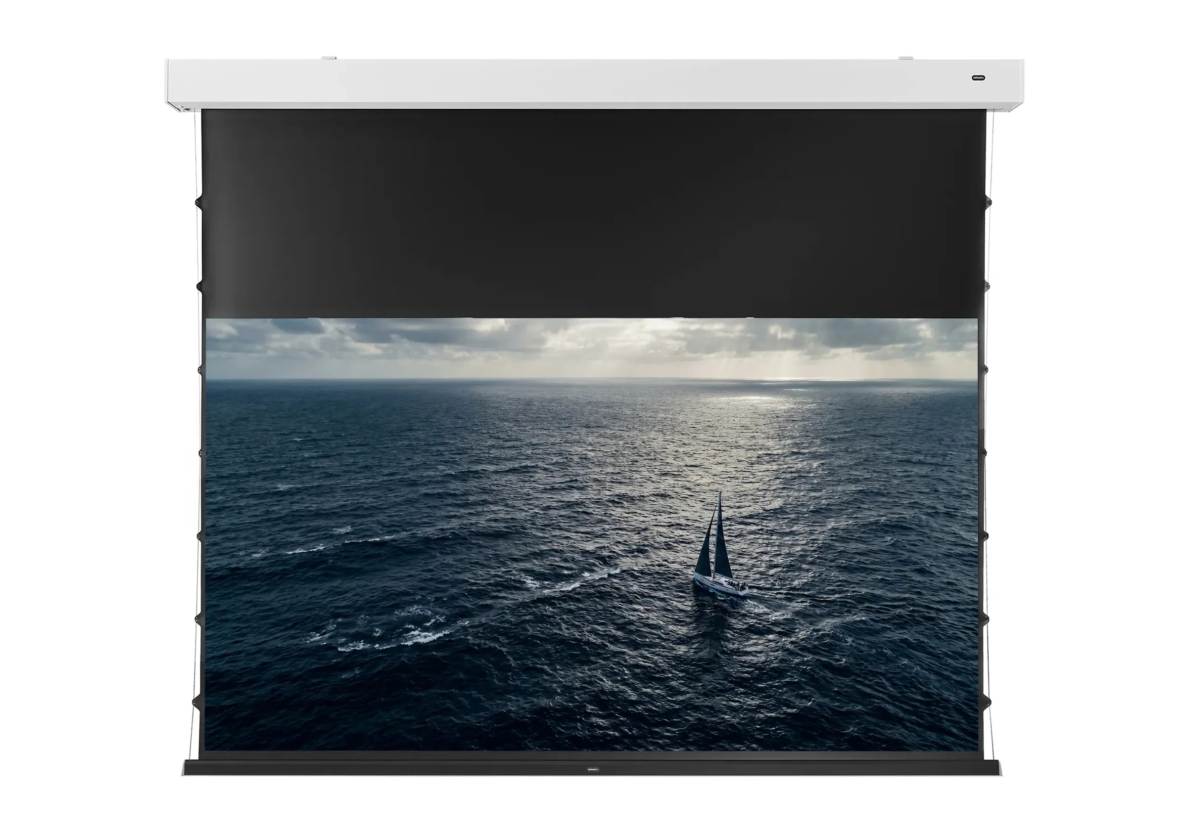celexon ALR Premium Plus Leinwand Motor Tension - Darkvision