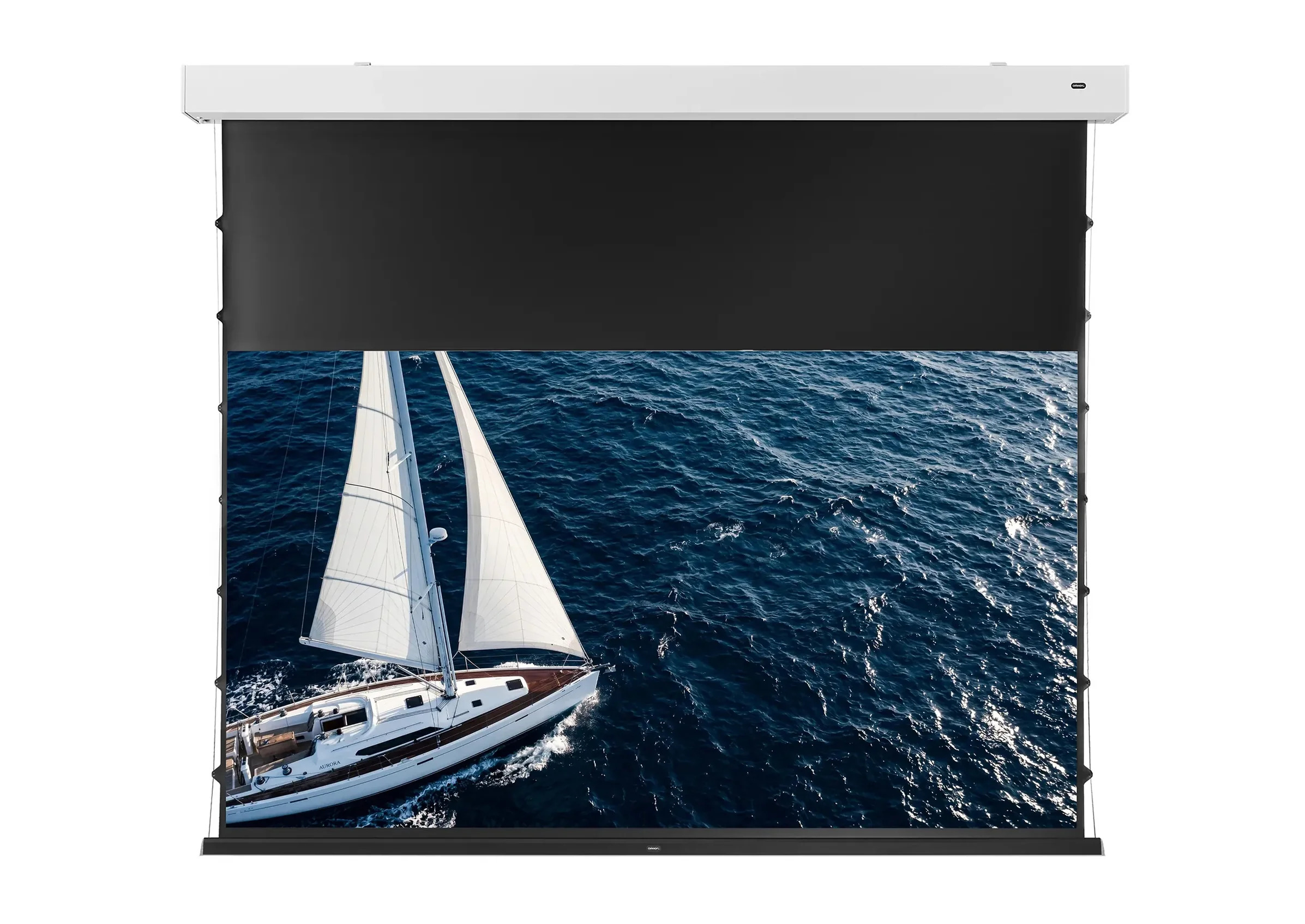 celexon ALR Premium Plus Leinwand Motor Tension - Greyvision